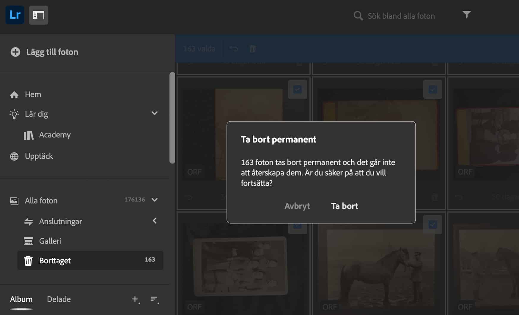 Bilder raderas från urvalet Borttaget i webb-varianten av Lightroom