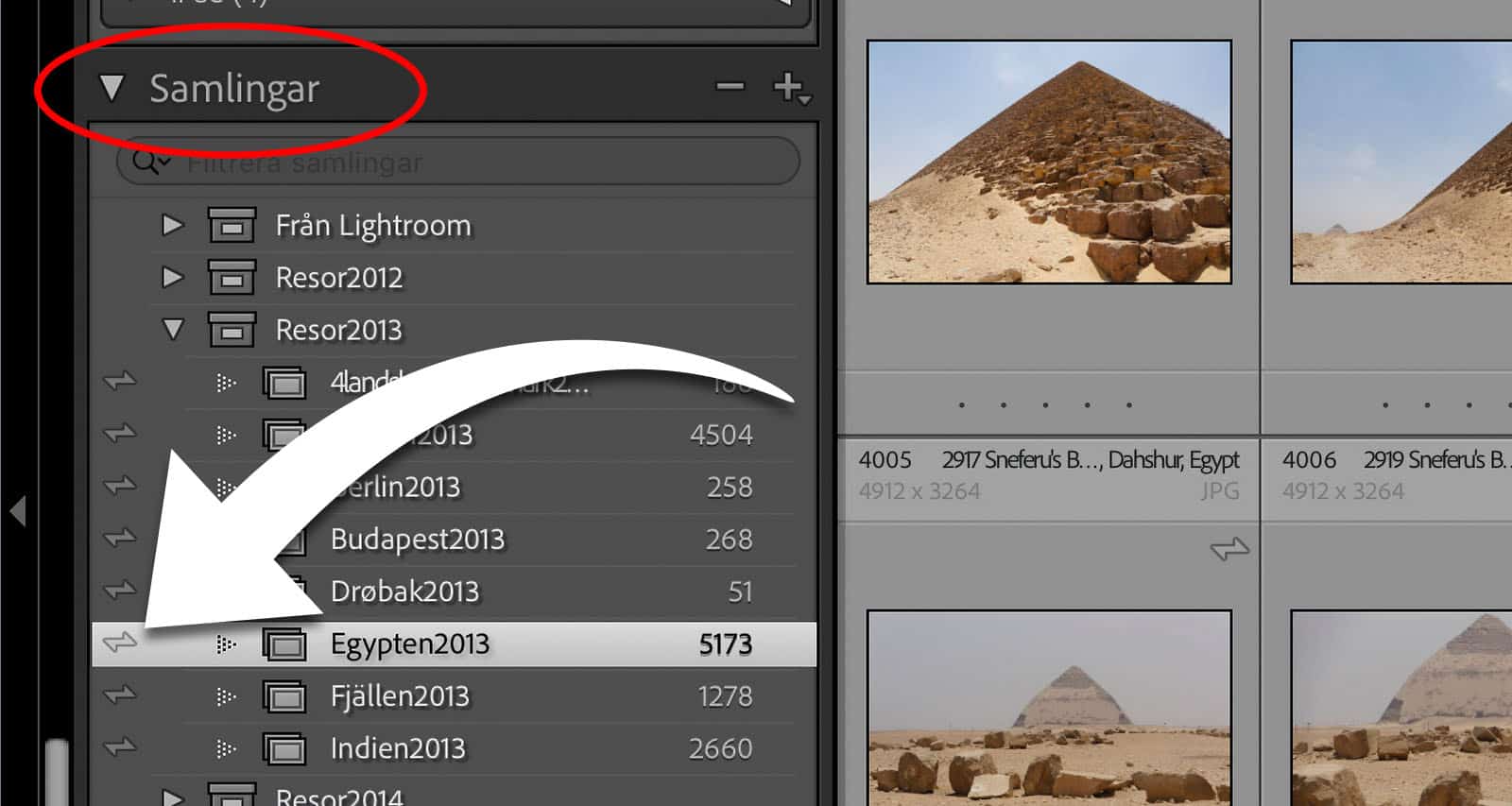 En pil pekar ut synk-ikonen i Lightroom Classics samlingspanel.