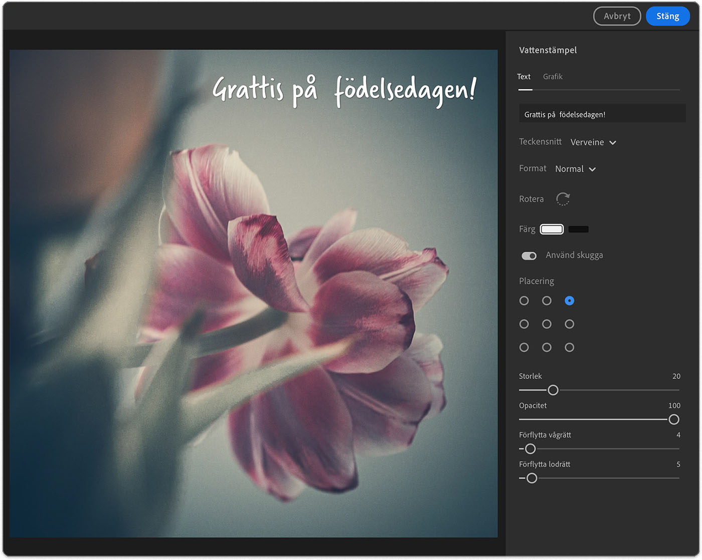 Dialogruta för vattenstämpel i Lightroom