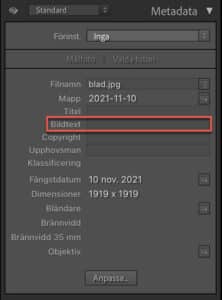 Redigera metadata beskrivning i Lightroom Classic