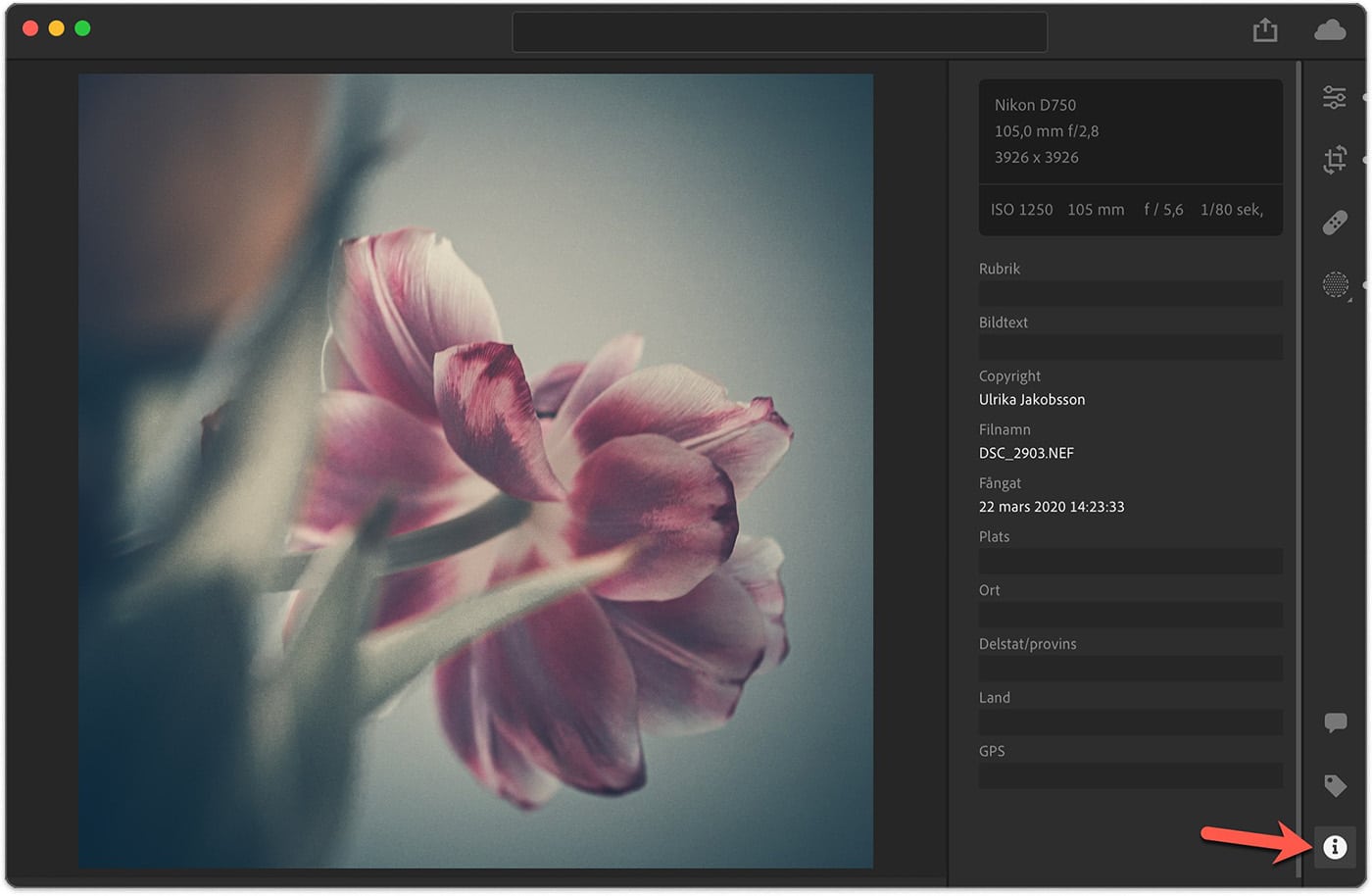 Metadata i molnbaserade Lightroom