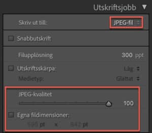 Spara bild i Lightroom Classics utskrifts-modul