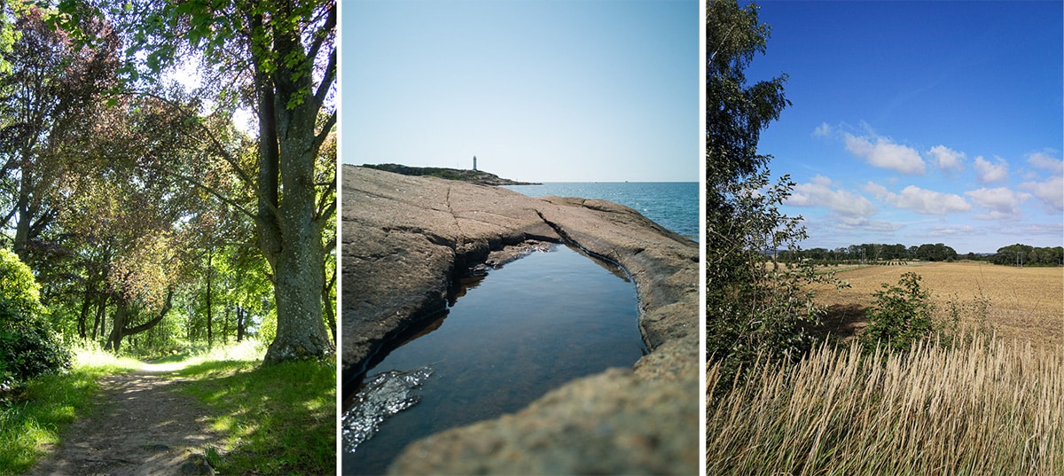 Landskap i porträttformat