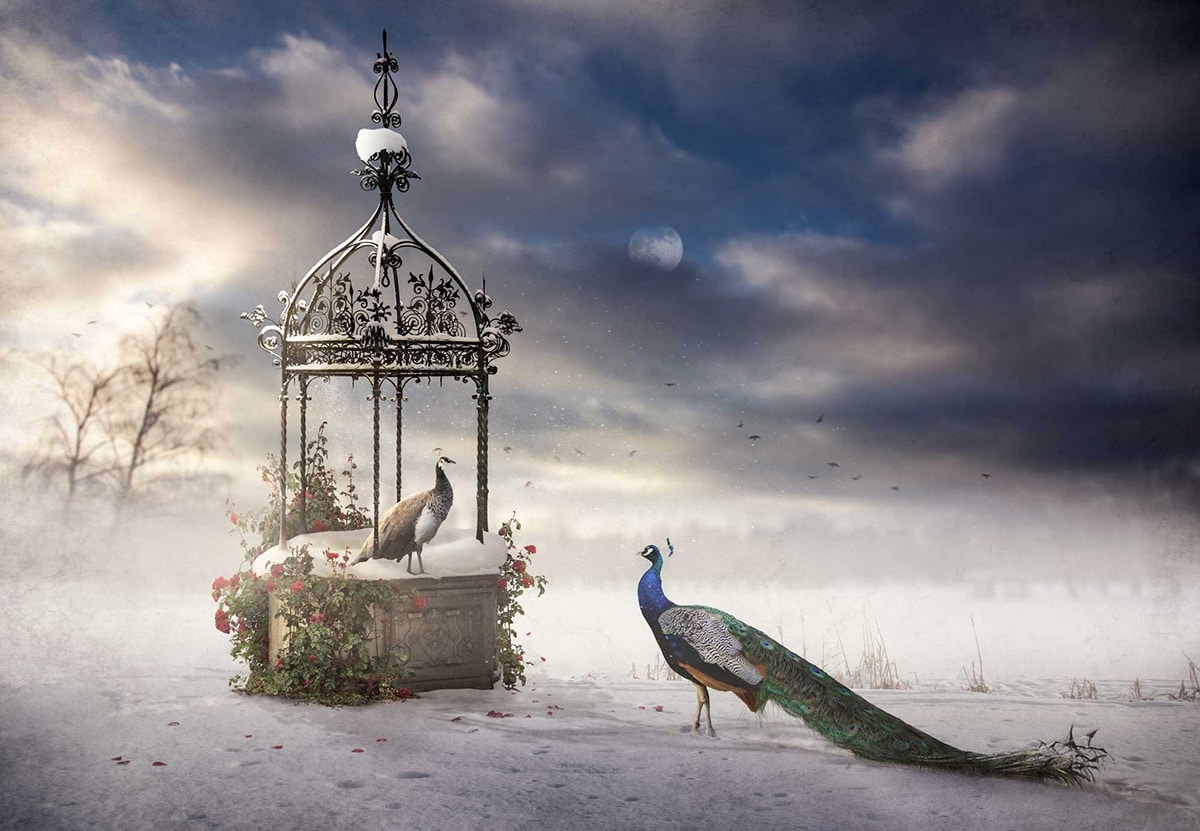 Winter´s Queen av Sara Victoria Sandberg