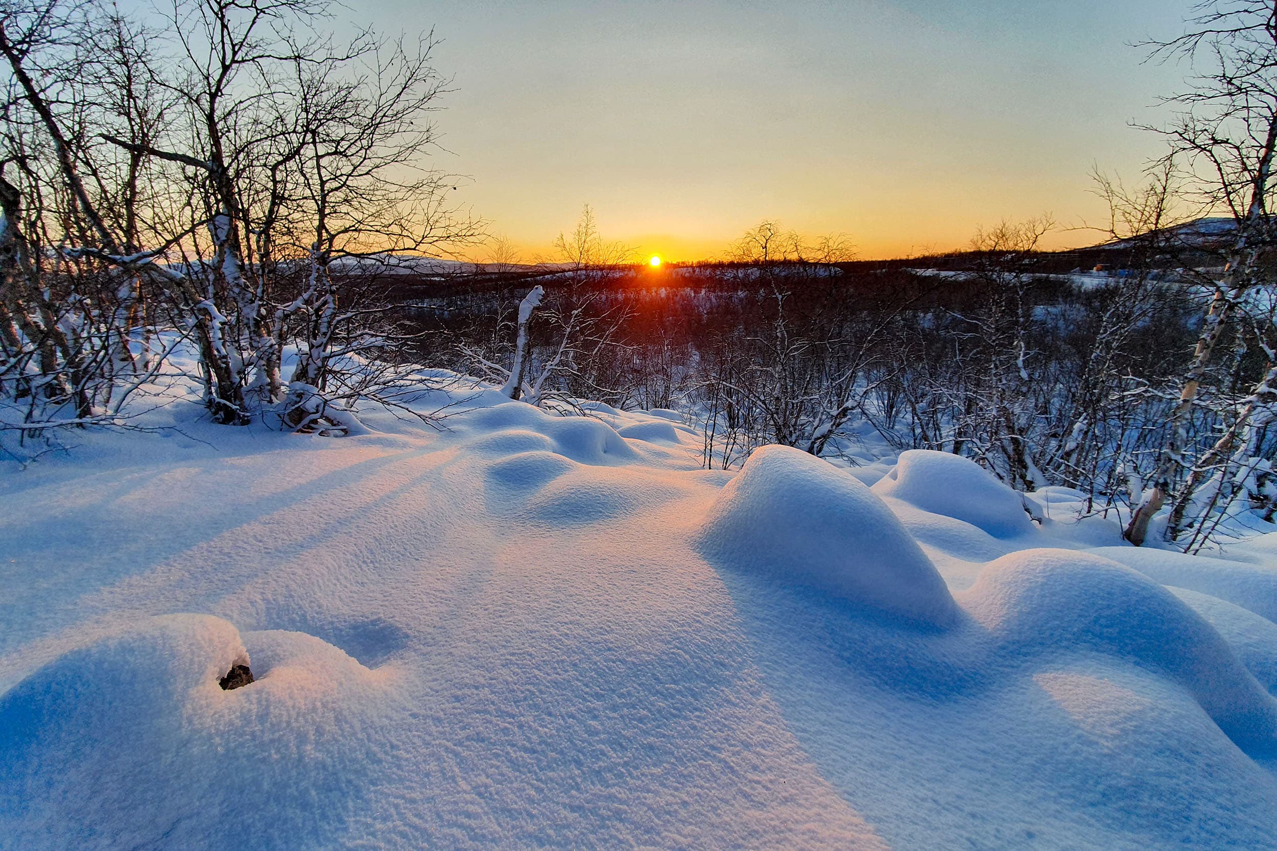 Vinterlandskap i soluppgång